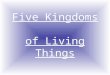 Five Kingdoms of Living Things. Each living thing must have most of the following: Ability to MOVE around from place to place, or make things inside it