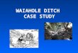 WAIAHOLE DITCH CASE STUDY. SITUATION Commercial sugarcane production was established in leeward O'ahu in 1896. In 1912 the Waiahole Water Company was
