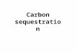 Carbon sequestration. The carbon cycle Natural and man-made processes Credit: U.S. Geological Survey