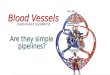 THE BLOOD VESSELS (vascular system). CONTENT 1)Overview of Vascular System 2)Arterial Pressures and Flow 3)Capillary Exchange 4)Venous Blood Flow 5)Regulation
