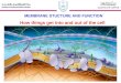 How things get into and out of the cell MEMBRANE STUCTURE AND FUNCTION