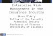 Enterprise Risk Management in the Insurance Industry Steve D’Arcy Fellow of the Casualty Actuarial Society Professor of Finance - University of Illinois