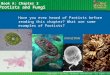Protists and Fungi Book A: Chapter 3 Have you ever heard of Protists before reading this chapter? What are some examples of Protists? Copyright © by Holt,