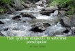 Streams in urbanizing landscapes: from syndrome diagnosis to watershed prescription NSF Grant 1258017