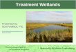 Presented by: Scott Wallace, P.E. Scott.Wallace@naturallywallace.com (612) 802-2329 Treatment Wetlands