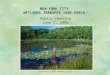 NEW YORK CITY WETLANDS TRANSFER TASK FORCE Blue Heron Park, Staten Island Public Hearing June 7, 2006