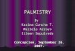 PALMISTRY By Karina Concha T. Mariela Arroyo Eileen Sepulveda Concepcion, September 26, 2007