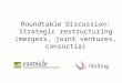 Roundtable Discussion: Strategic restructuring (mergers, joint ventures, consortia)