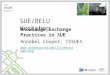 SUE/RELU Workshop Knowledge Exchange Practices in SUE Annabel Cooper, ISSUES 