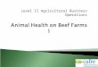 Level II Agricultural Business Operations. ï½ To recognise animal signs of good and ill health ï½ To know how to prevent and treat calf scours and pneumonia