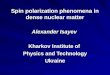 Spin polarization phenomena in dense nuclear matter Alexander Isayev Kharkov Institute of Physics and Technology Ukraine