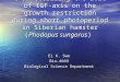 Characterizing the role of IGF- axis on the growth restriction during short photoperiod in Siberian hamster (Phodopus sungorus) Ei K. Swe Bio-466H Biological