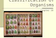 Classification of Organisms Chapter 18 What is an Organism? An organism is generally referred to any living thing. More specifically any thing that has