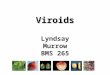 Viroids Lyndsay Murrow BMS 265. Nomenclature Viroid = “virus- like” Adapted from Flores R et al (1998) Arch Virol 143, 623-629
