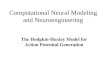 Computational Neural Modeling and Neuroengineering The Hodgkin-Huxley Model for Action Potential Generation