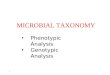 1 MICROBIAL TAXONOMY Phenotypic Analysis Genotypic Analysis