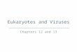 Eukaryotes and Viruses Chapters 12 and 13. Viral Characteristics and Structure Why Viruses aren’t Alive