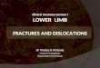 Clinical Anatomy Lecture I LOWER LIMB FRACTURES AND DISLOCATIONS Dr Vindye R Walpola Lecturer in Anatomy Department of Anatomy