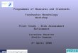 1 Programmes of Measures and Standards Freshwater Morphology Workshop Pilot Study - Risk Assessment Refinement Lorraine Houston Sheila Downes 4 th April