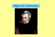 “Age of Jackson”. Why is the election of Andrew Jackson in 1828 an important turning point in American politics?