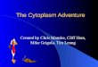 The Cytoplasm Adventure Created by Chris Manske, Cliff Ham, Mike Grigola, Tim Leung