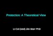 Protection: A Theoretical View Lt Col (retd) Jim Storr PhD