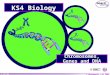 © Boardworks Ltd 2004 1 of 47 KS4 Biology Chromosomes, Genes and DNA