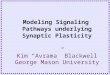 Kim “Avrama” Blackwell George Mason University Modeling Signaling Pathways underlying Synaptic Plasticity