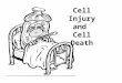 Cell Injury and Cell Death. Cell Injury If the cells fail to adapt under stress, they undergo certain changes called cell injury. The affected cells may