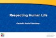 Respecting Human Life Catholic Social Teaching Document #: TX001994