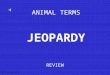 ANIMAL TERMS REVIEW JEOPARDY S2C06 Jeopardy Review