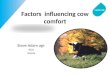 Factors influencing cow comfort Steve Adam agr. R&D Valacta