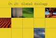 Ch 23: Global Ecology. Ecology Terms Ecology - the study of the interactions of organisms with one another and with the physical environment Biosphere
