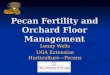 Pecan Fertility and Orchard Floor Management Lenny Wells UGA Extension Horticulture---Pecans