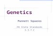 Genetics Punnett Squares PA State Standards 3.3.7.C