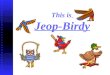 This is Jeop-Birdy Bye-Bye Birdie Bird Brained Save the Birds Bird Words Potpourri 100 200 300 400 500