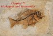 Chapter 25 Phylogeny and Systematics. Phylogeny The evolutionary history of a species or a group of species over geologic timeThe evolutionary history