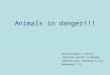 Animals in danger!!! Презентация к тексту Natural world in danger (Афанасьева, Михеева 6 кл) Ивашнева Т.В