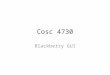 Cosc 4730 Blackberry GUI. Blackberry Blackberry's can use MIDlet, just like standard JavaME phone – But the preferred method is different. With 30+ examples,