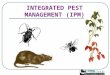 INTEGRATED PEST MANAGEMENT (IPM). Integrated Pest Management A Pest is a Plant, Insect, or Animal Which: Competes with humans, domestic animals, and/or