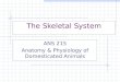 The Skeletal System ANS 215 Anatomy & Physiology of Domesticated Animals