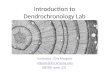 Introduction to Dendrochronology Lab Instructor: Ellis Margolis ellisqm@ltrr.  BBTRB room 321