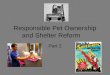 Responsible Pet Ownership and Shelter Reform Part 2