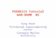 PGENESIS Tutorial WAM-BAMM 05 Greg Hood Pittsburgh Supercomputing Center Carnegie Mellon University