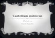 CASTELLUM PUBLICUS 4Fulnek o.s. Czech Republic. OUR PLACE