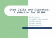 Stem Cells and Diabetes: A Website for BI108 David Keyzer Nicholas Marcantonio Lesley Rabach Morgan Rabach Sannon Watkins