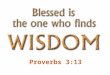 Proverbs 3:13. “He who gets wisdom loves his own soul; He who keeps understanding will find good.” -- Proverbs 19:8
