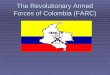 The Revolutionary Armed Forces of Colombia (FARC)