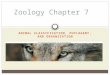 ANIMAL CLASSIFICATION, PHYLOGENY, AND ORGANIZATION Zoology Chapter 7