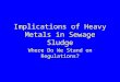 Implications of Heavy Metals in Sewage Sludge Where Do We Stand on Regulations?